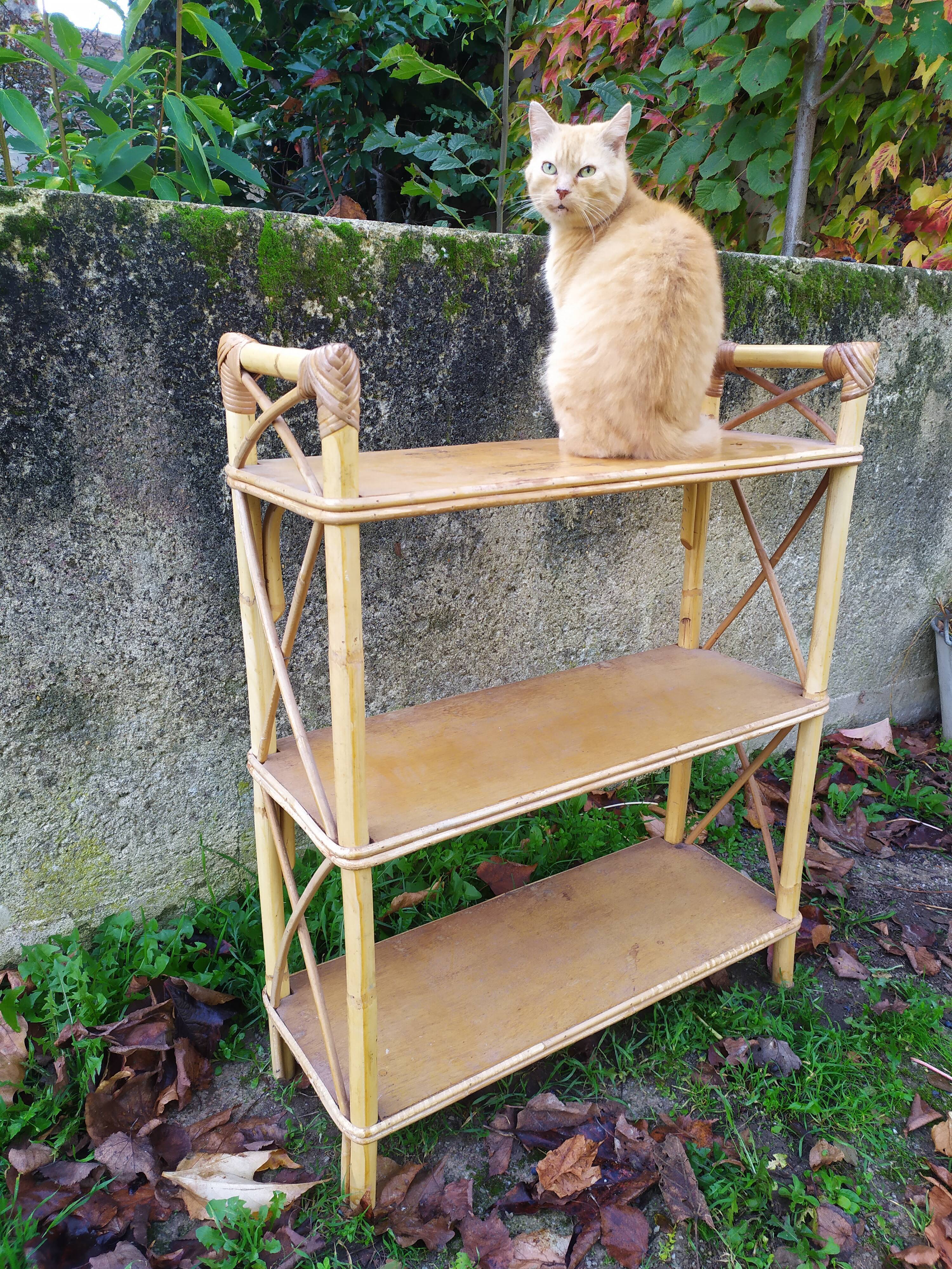 Étagère bambou et rotin années 50-60