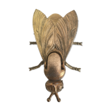 Golden ashtray fly