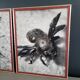 Pair of old silver photographs of insects S Celebonovic