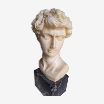 Bust of david