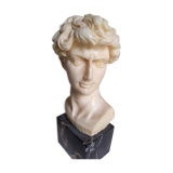Bust of david