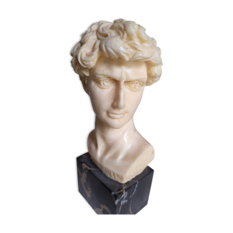 Bust of david