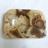 Marble pocket ashtray with fossil ammonite