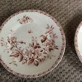 Series of 9 plates Iron Earth