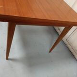 Scandinavian style table 50 year with 2 elongations