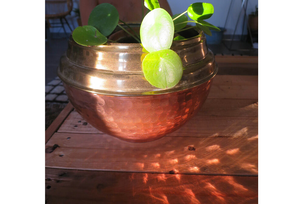 Plant rack copper and brass