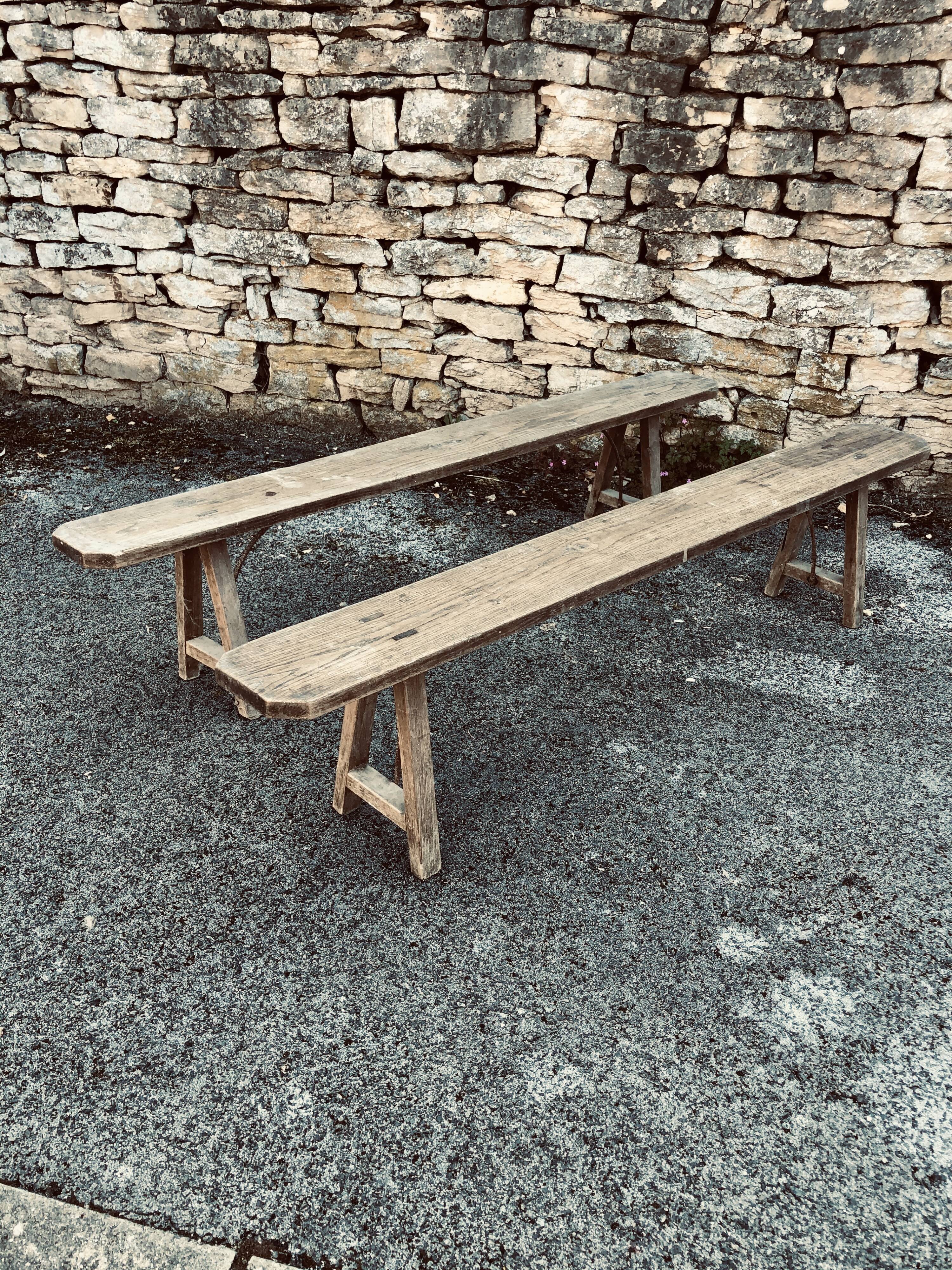 Pair of ancient benches in 19th century oak