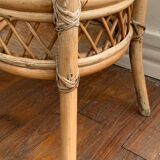 Rattan harness