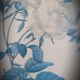 Frame illustration rose one hundred leaves foliaceous