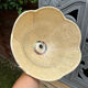 Suspension Fleur en fibres naturelles