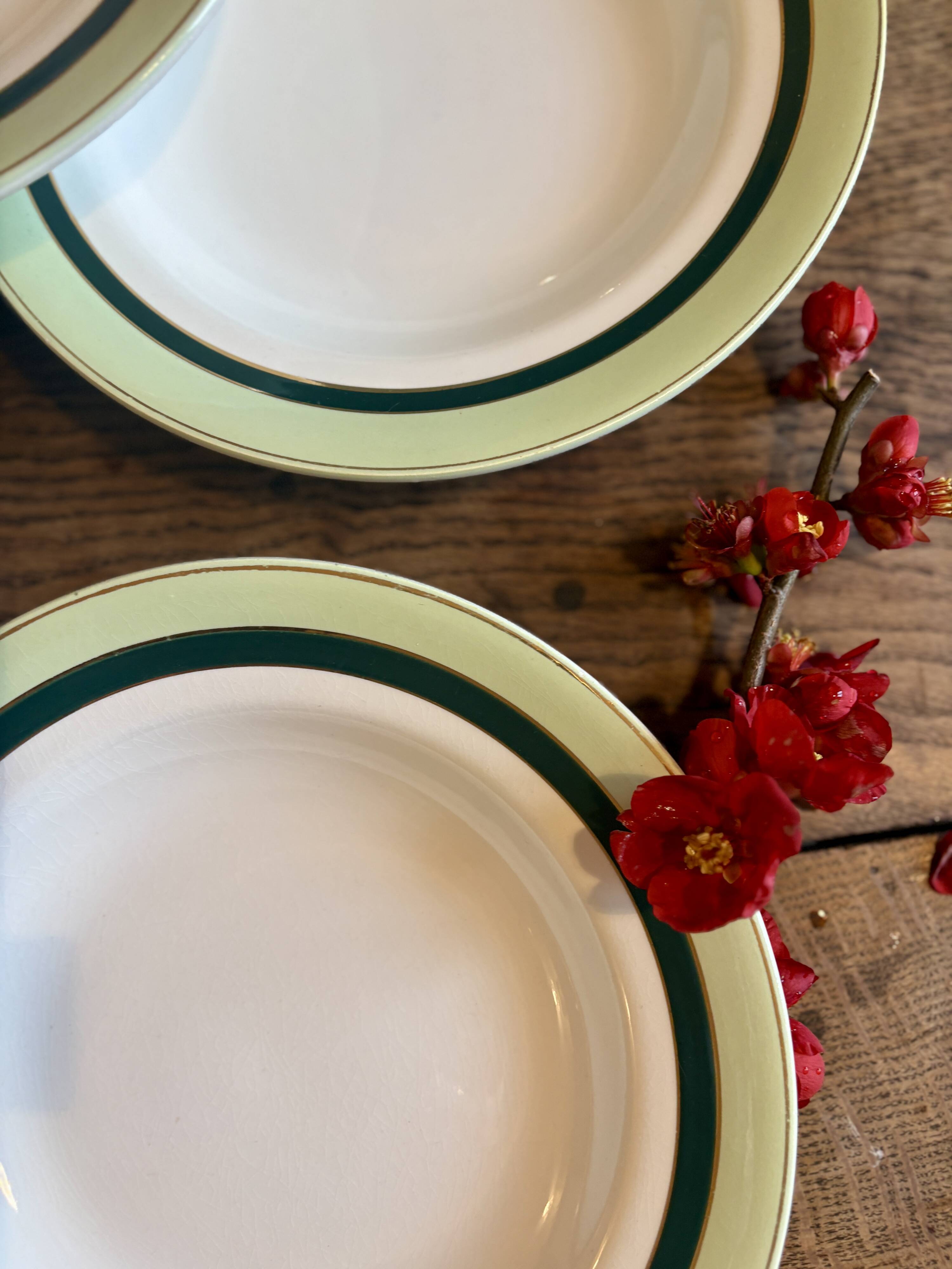 Set of 7 antique deep plates Salins - green Texas -