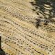 Vintage woven wool rug