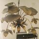 Chandelier, 10 light lights, water lily, brass