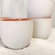 Lot de 6 tasses