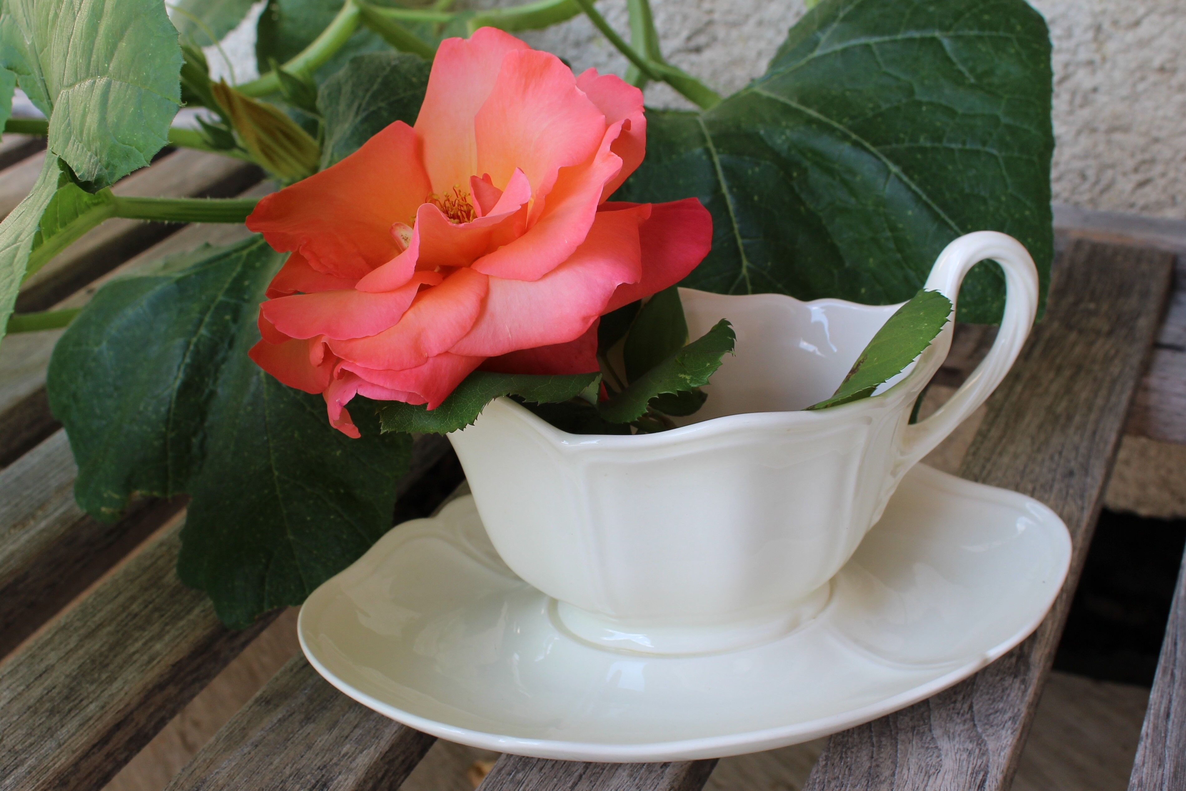Old English porcelain saucière "Wedgwood"