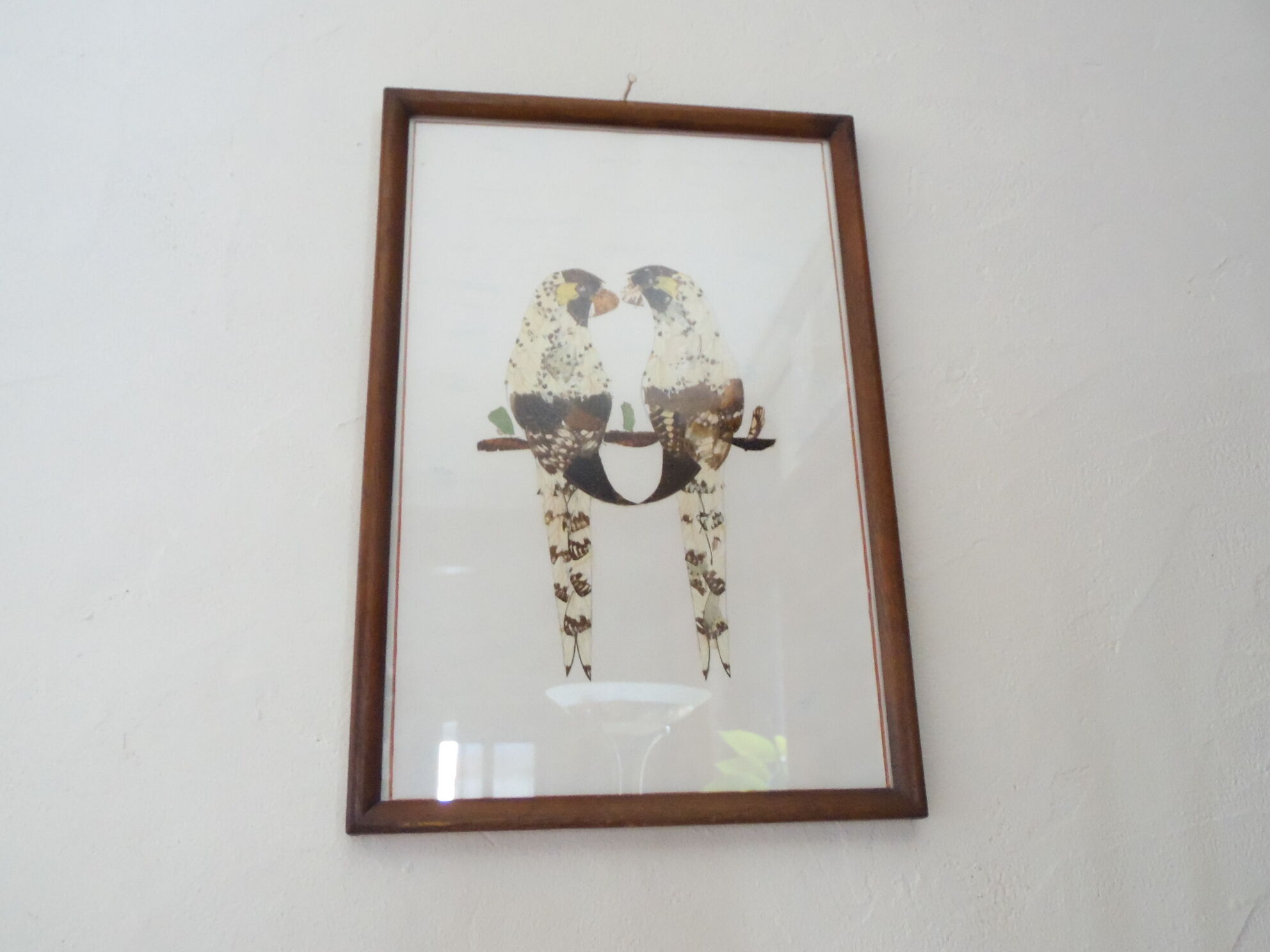 Bird-couple frame in butterfly wings