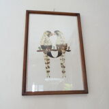 Bird-couple frame in butterfly wings