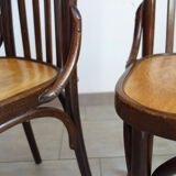 Pair of bistro chairs pattern flowers