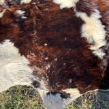 Vintage cowhide carpet