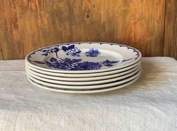6 assiettes plates anglaises Staffordshire Victoria