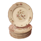 Set of 10 Condé Digoin Sarreguemines dessert plates