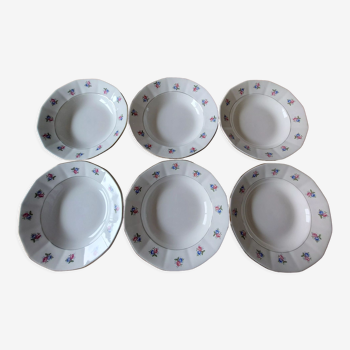 Set of 6 Digoin Sarreguemines hollow plates