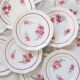 Dinner plates x6, Ceranord, Semi French Porcelain from the late 1950s