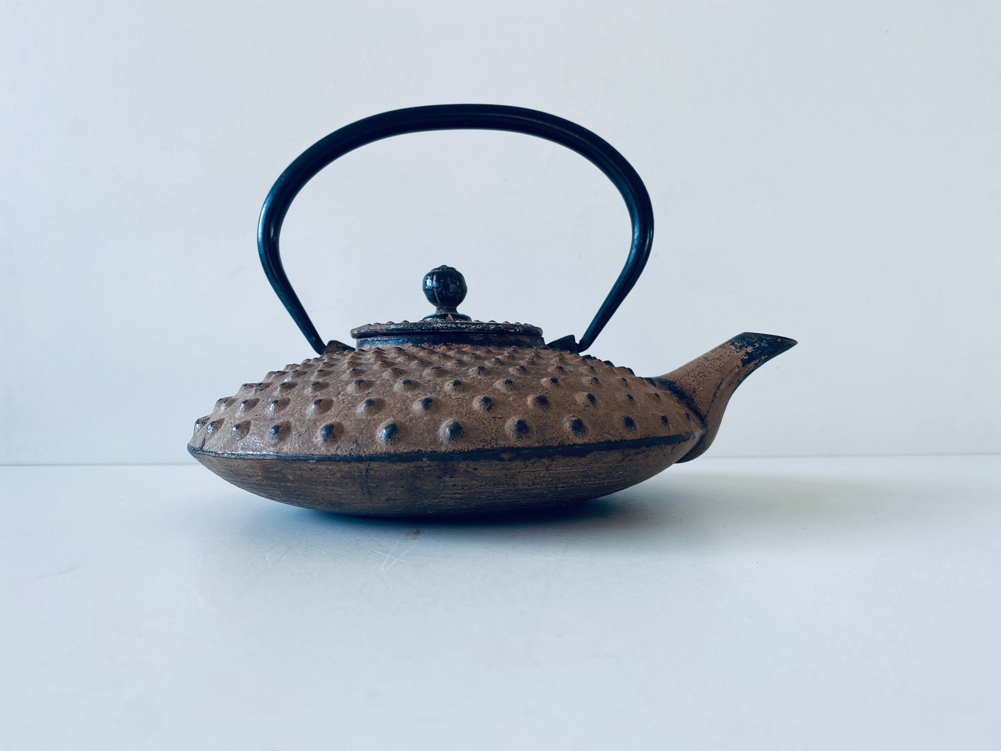 Ancient Japanese teapot in cast iron