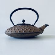 Ancient Japanese teapot in cast iron