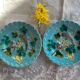 Set of 2 majolica plates from Sarreguemines.