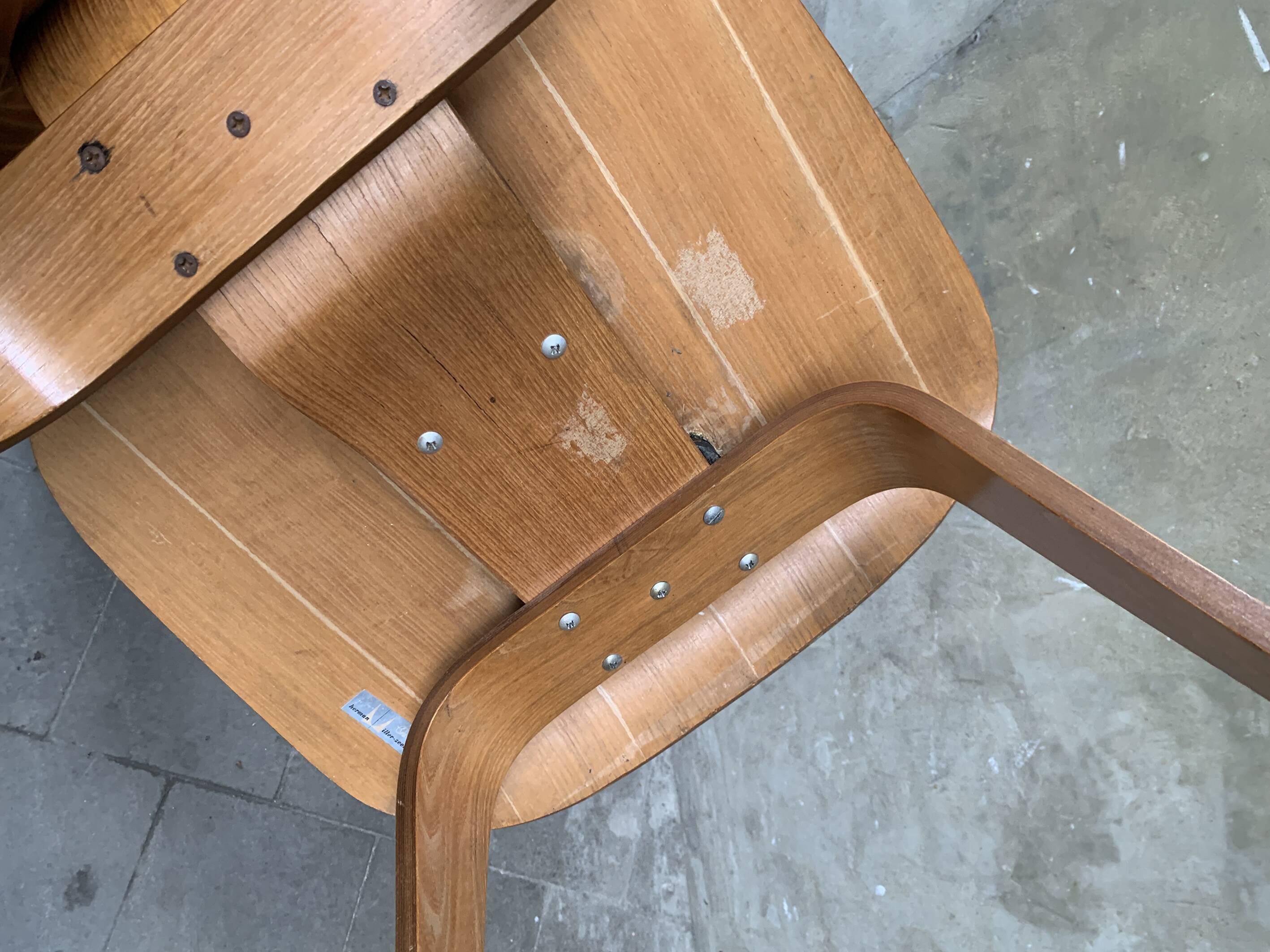 LCW Lounge Chair in ash wood, designed by Eames for Evans/Herman Miller, 1950s