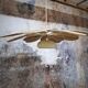 Suspension old opaline globe and petals linen and rattan