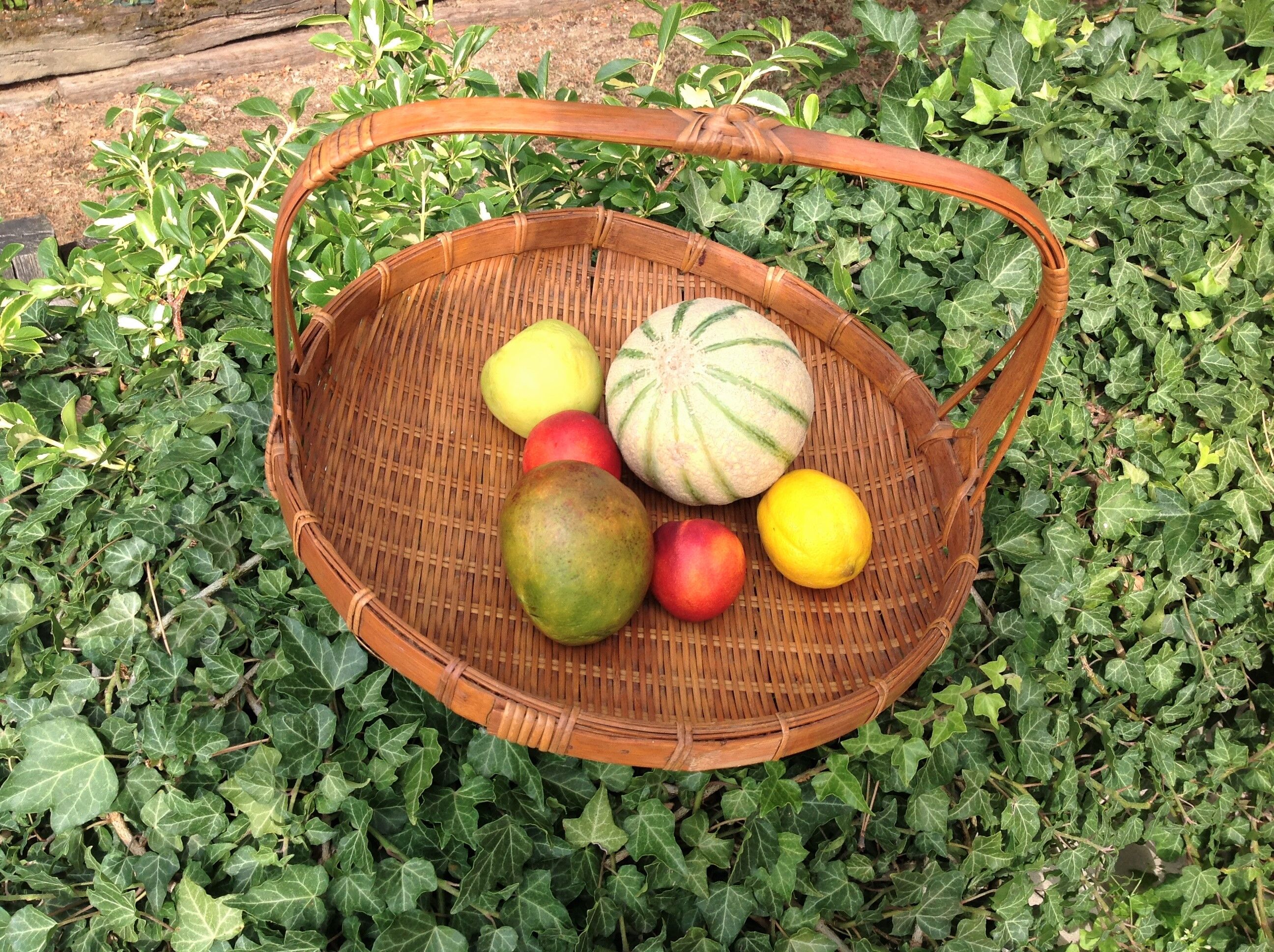 Panier à fruits  rond en bambou tréssé / vintage années 60-70
