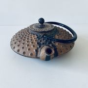Ancient Japanese teapot in cast iron