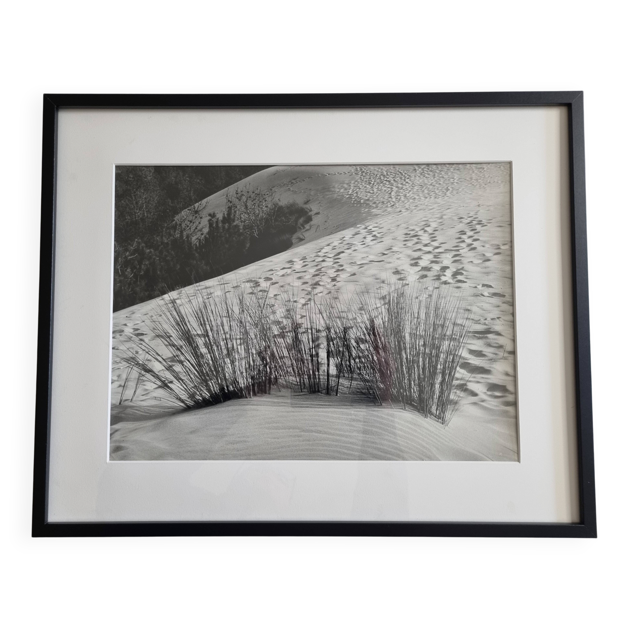 Vintage silver print photograph "The Dune" from the 1970s, framed 52x42 cm.
