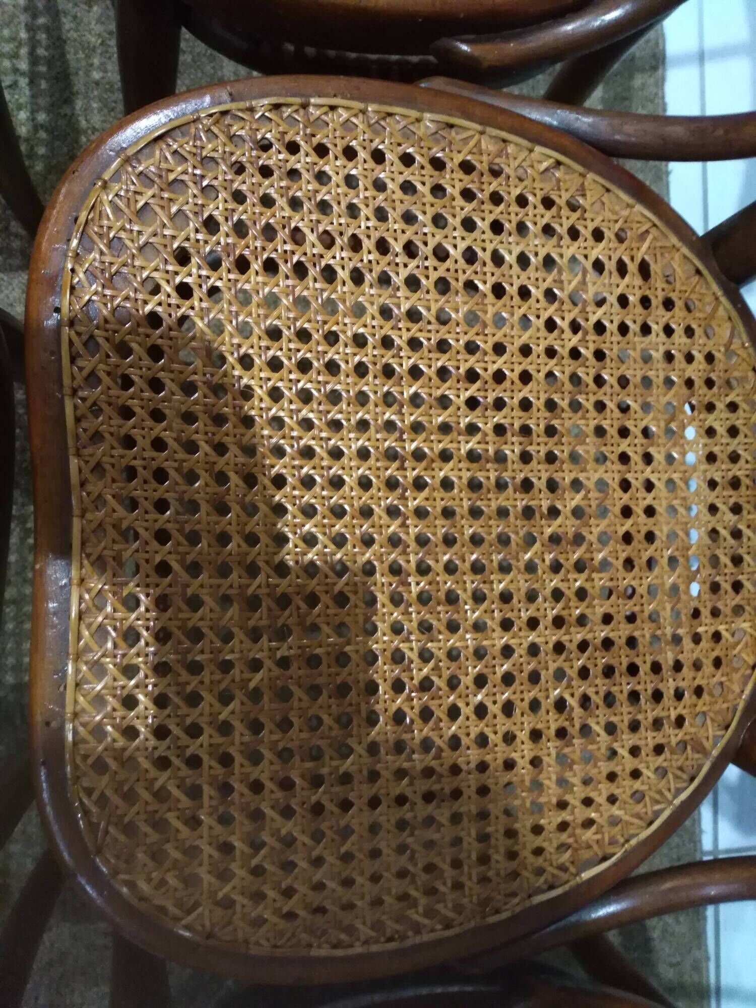 Suite of 6 chairs by Bistrot Austro-Hungarian Fium 1890