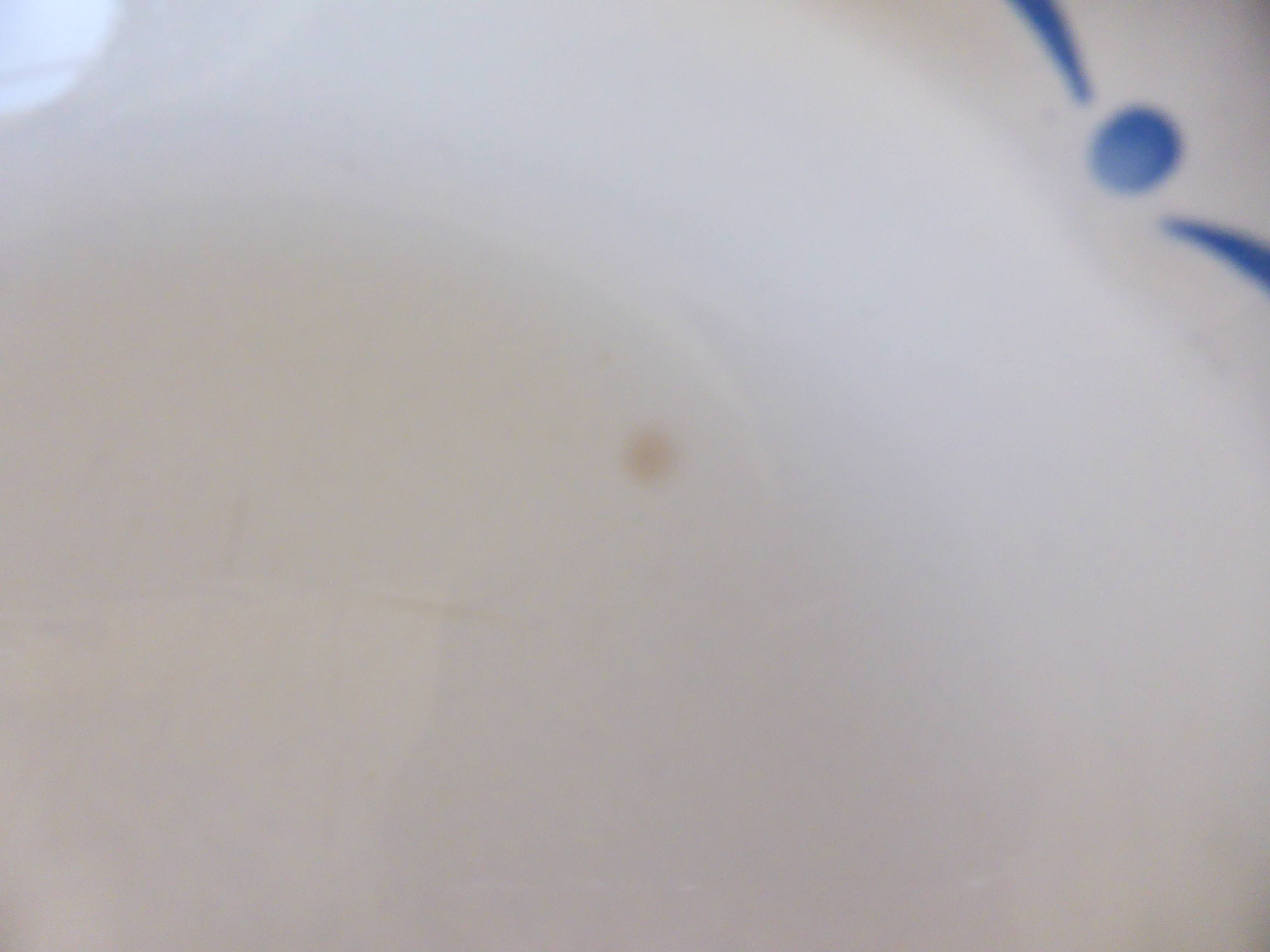 2 vintage deep plates from Digoin Sarreguemines 2107128