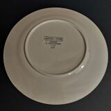 Asparagus plate Sarreguemines decoration sharp sharp early twentieth century