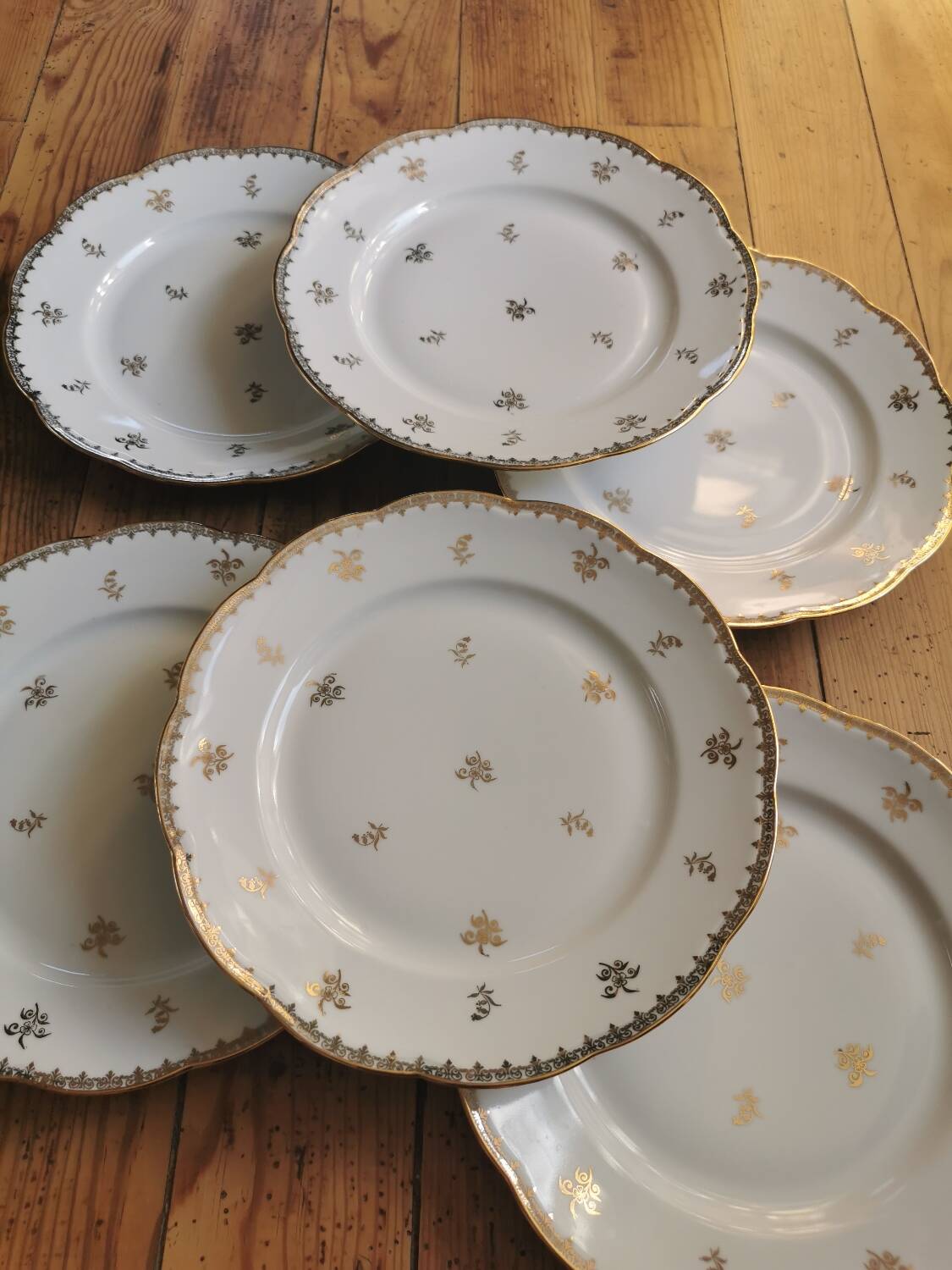 Old SFP porcelain dinner plates