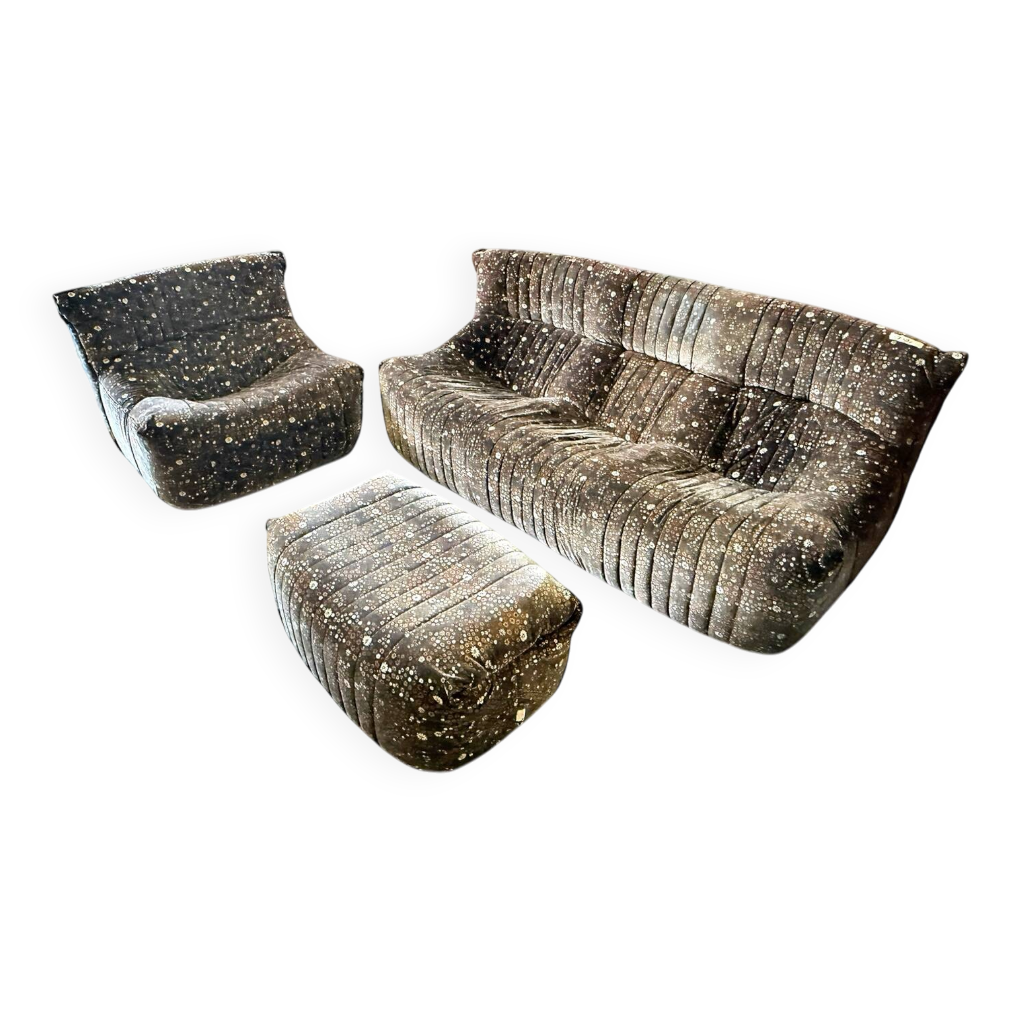 Salon complet ligne Roset Michel Ducaroy