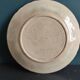French antique plate decorated with roses in barbotine