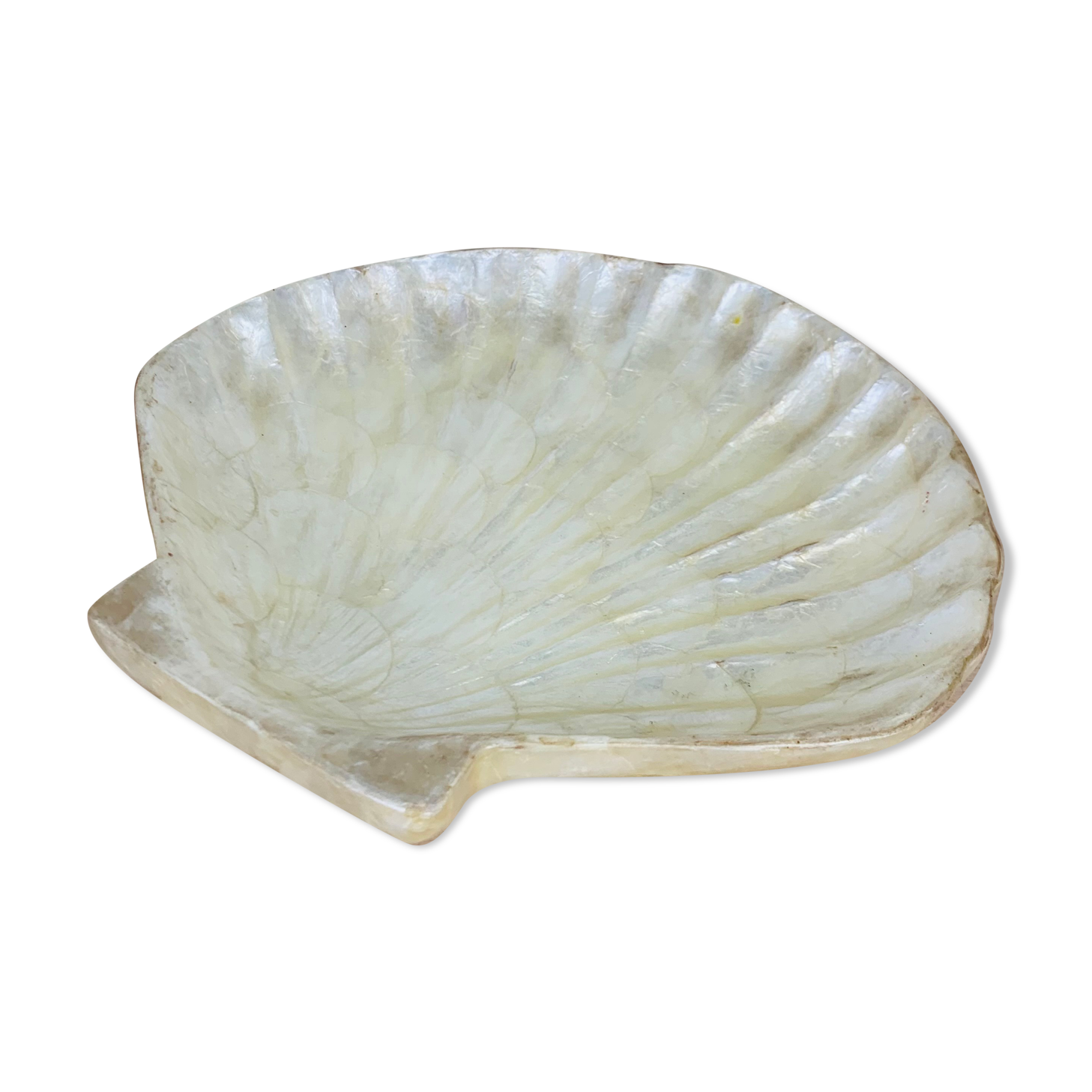 Empty pocket shell mother-of-pearl 60s