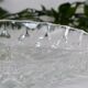 Plat à apéritif à compartiments en verre