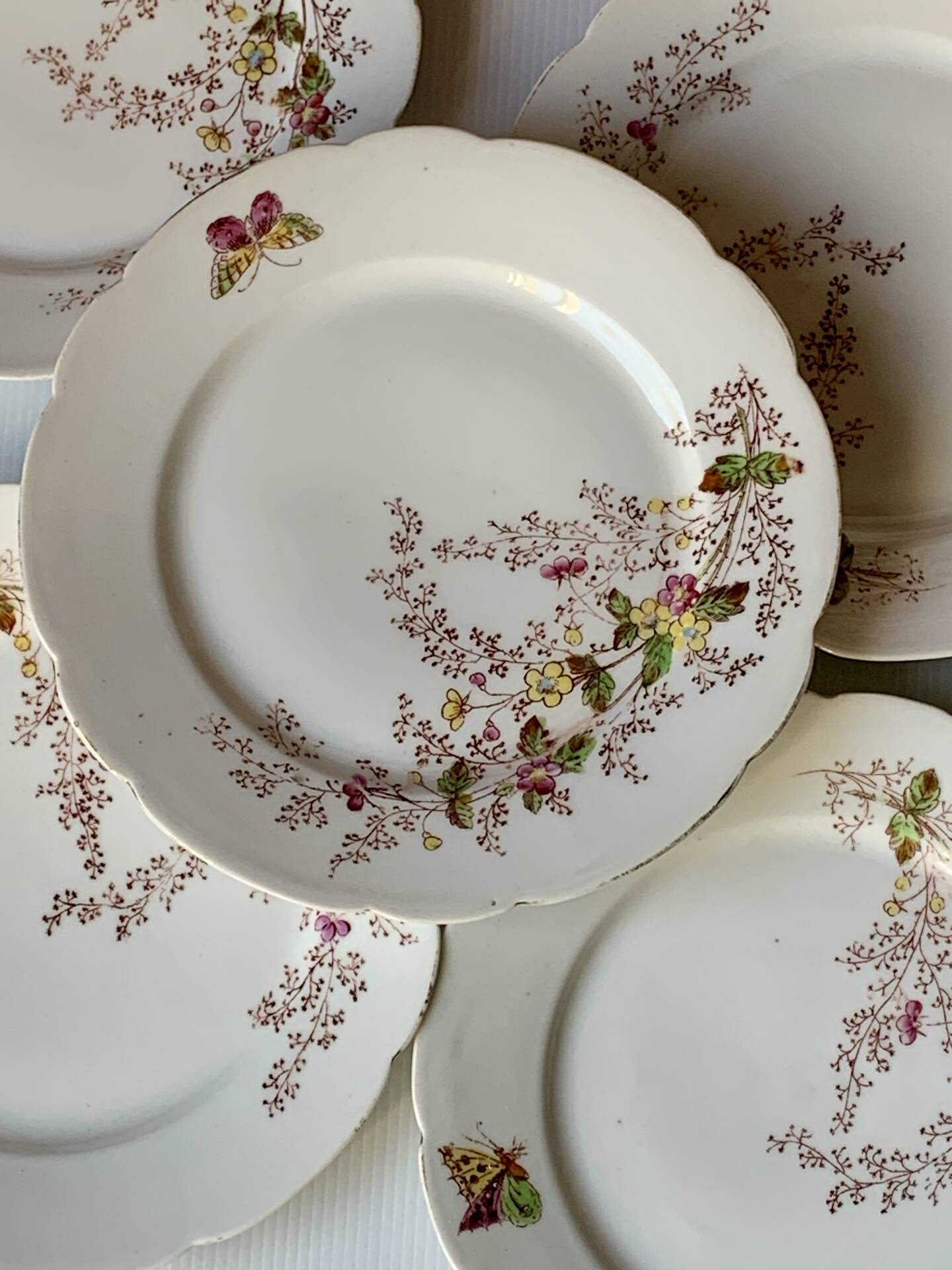 Six assiettes à entrée 1900s fleurs et papillons