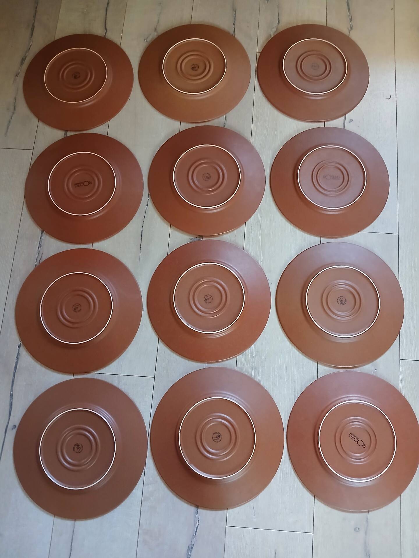12 large flat plates Molin / Charolles