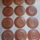 12 large flat plates Molin / Charolles