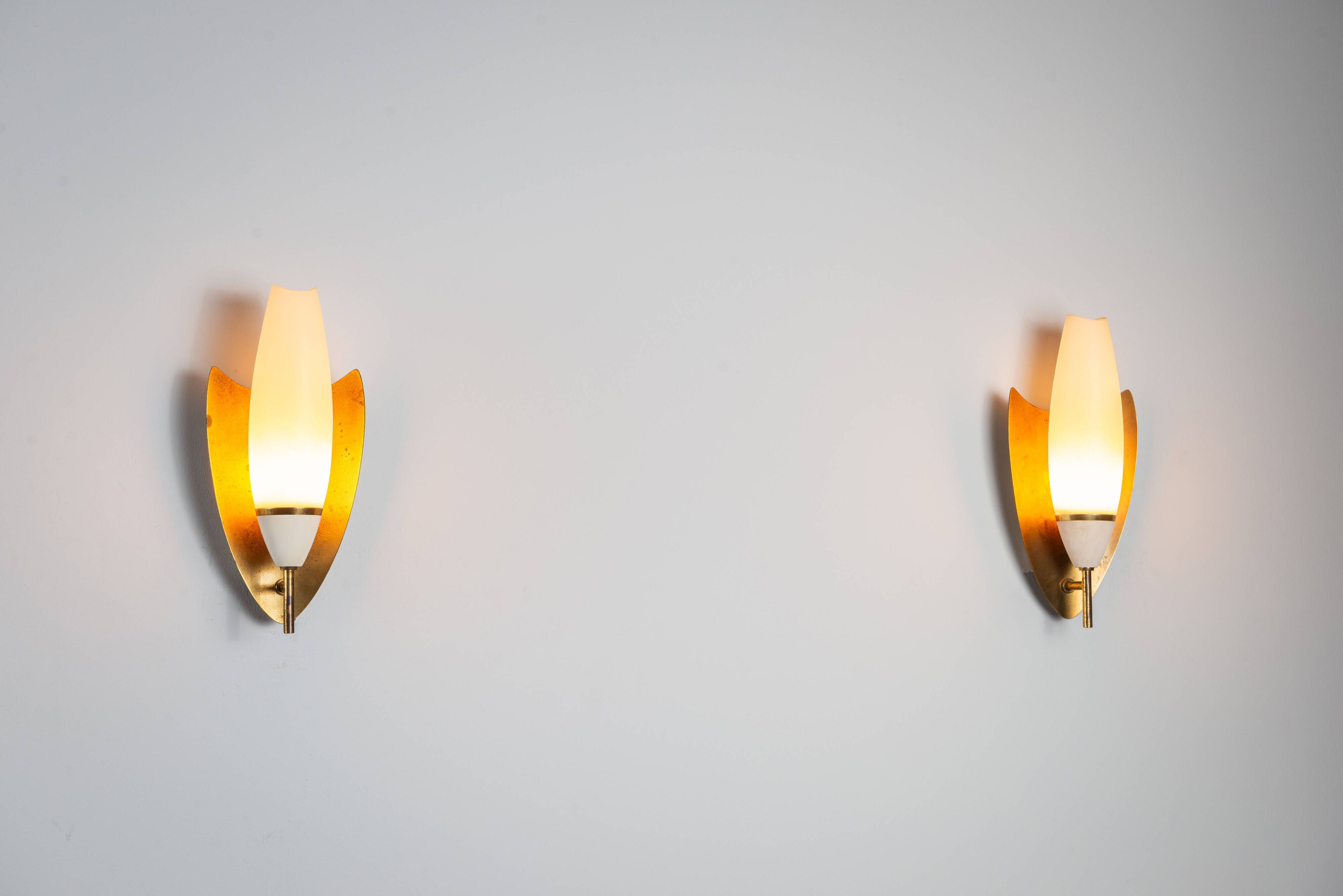 Pair of wall lamps with brass shields and glass shades