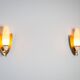 Pair of wall lamps with brass shields and glass shades