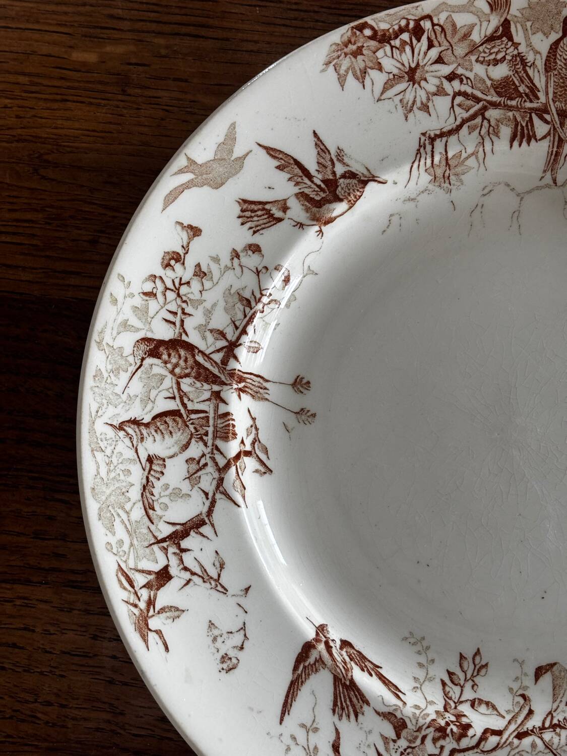 Antique KG Luneville round serving dish, colibri sepia