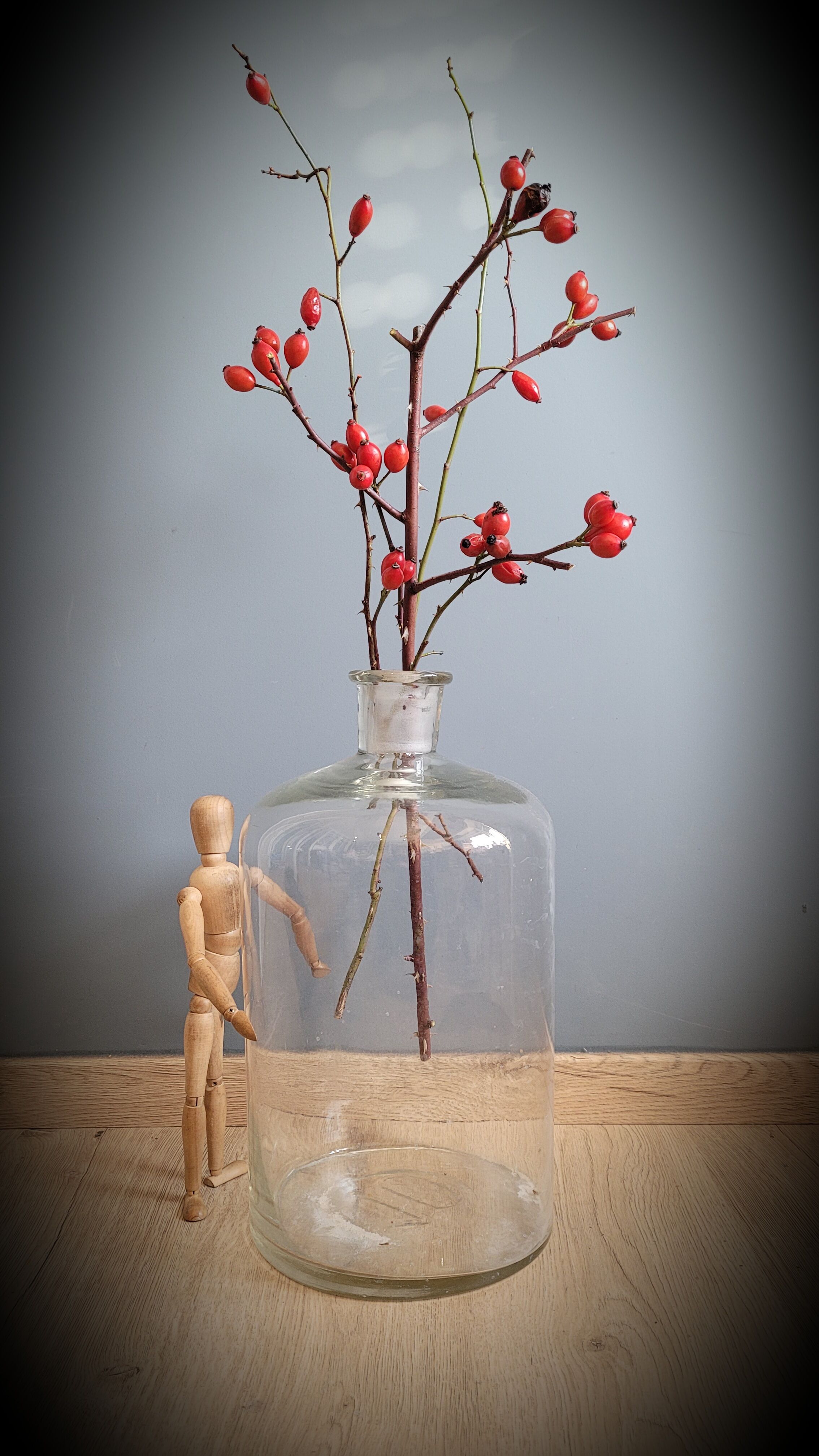 Transparent 10L apothecary bottle